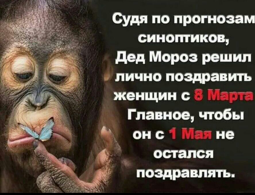 Судя по прогнозам синоптиков дед Мороз решил лично поздравить женщин с Главное чтобы он с не остался поздравлять