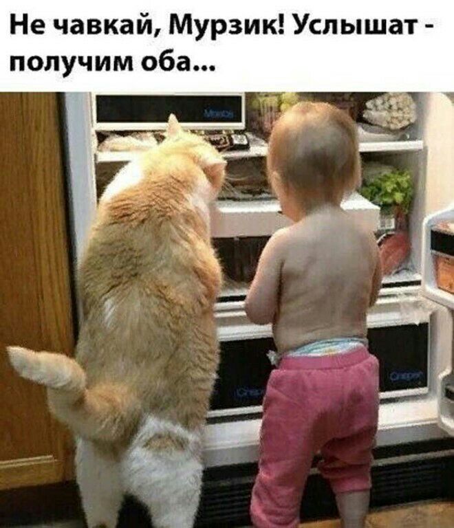 Не чавкай Мурзик Успышат получим оба