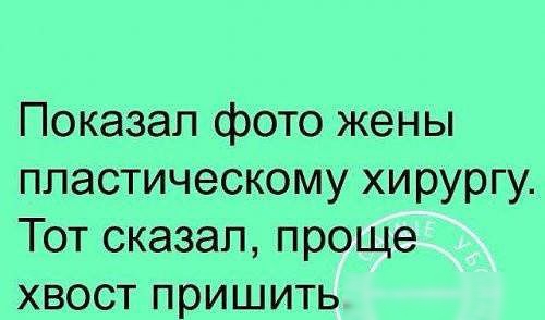Показал фото жены пластическому хирургу Тот сказал проще хвост пришить