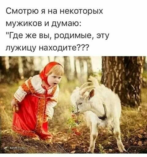 Смотрю я на некоторых мужиков и думаю Где же вы родимые эту лужицу находите Кх