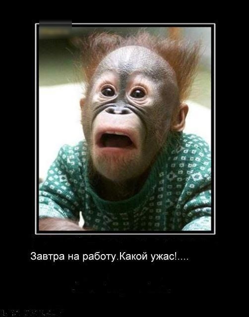 Завтра на работуКакой ужас