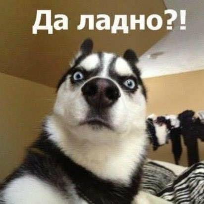 Да ладно?!