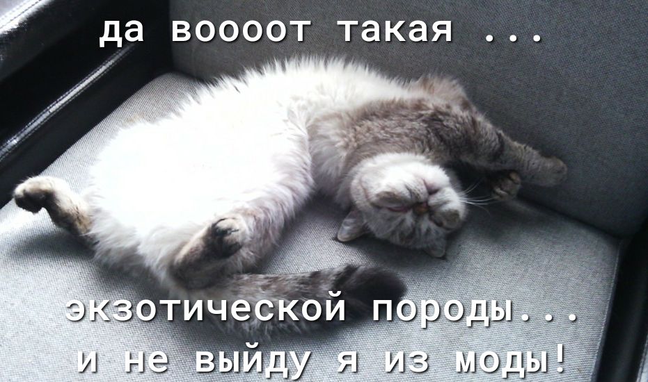 да ВООООТ такая