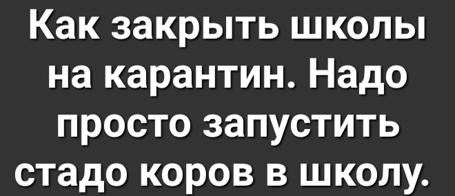 Как ЗЗКРЫТЬ ШКОЛЫ на карантин Надо ПРОСТО ЗЗПУСТИТЬ стадо КОРОВ В ШКОЛУ