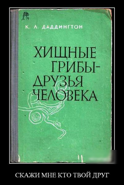 ХИЩНЫЕ ГРИБЫ ДРУЗЬЯ ЧЕАОВЕКА СКАЖИ МНЕ КТО ТВОЙ ДРУГ