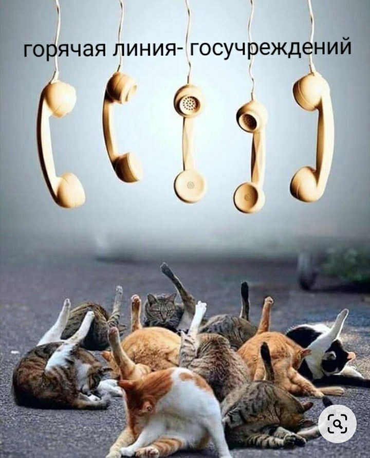 У 9 _ горячая линия госучреждении у