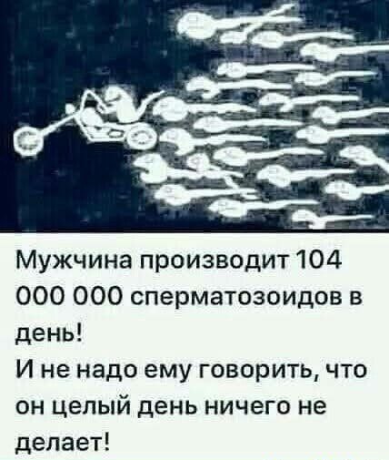 Мужчина производит 104 000 000 сперматозоидов в день И не надо ему говорить что он целый день ничего не делает
