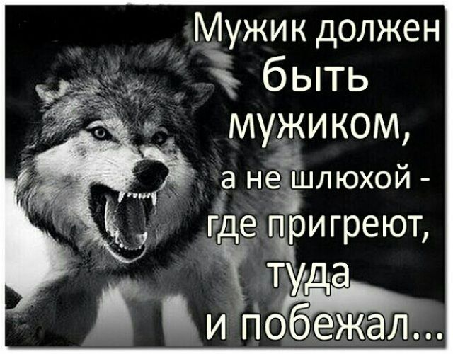 Мужик должен Ё быть мужиком а НеаШЛЮХОИ _ ггде пригреют Ё туда Зпо