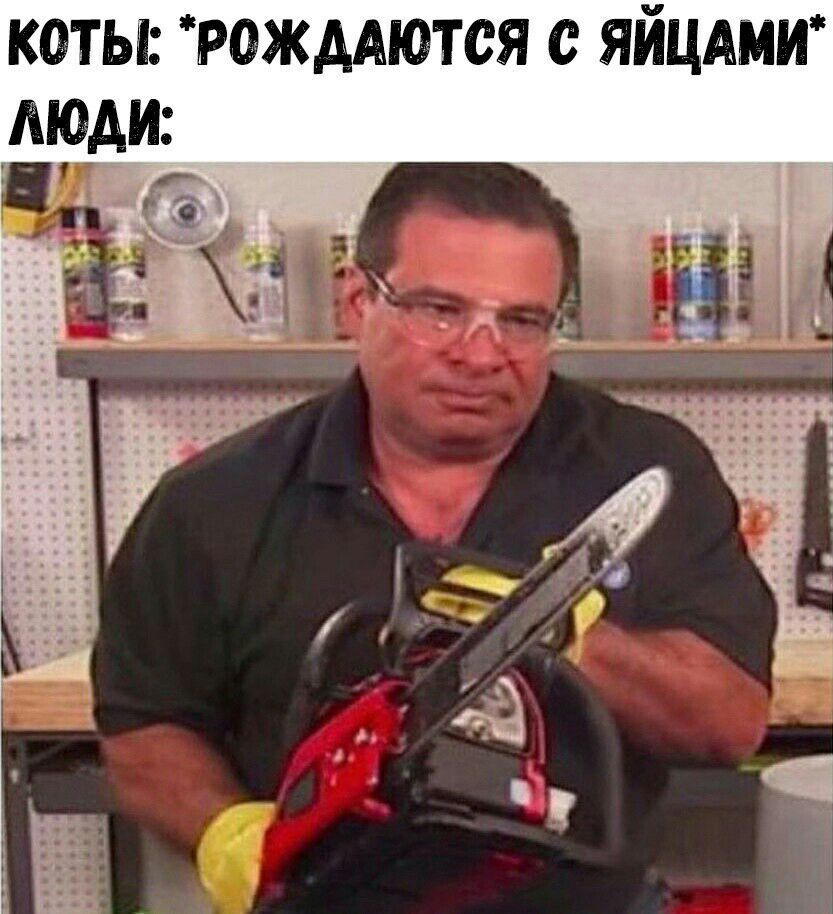 Африканские ушастые грифы весьма стильные птички