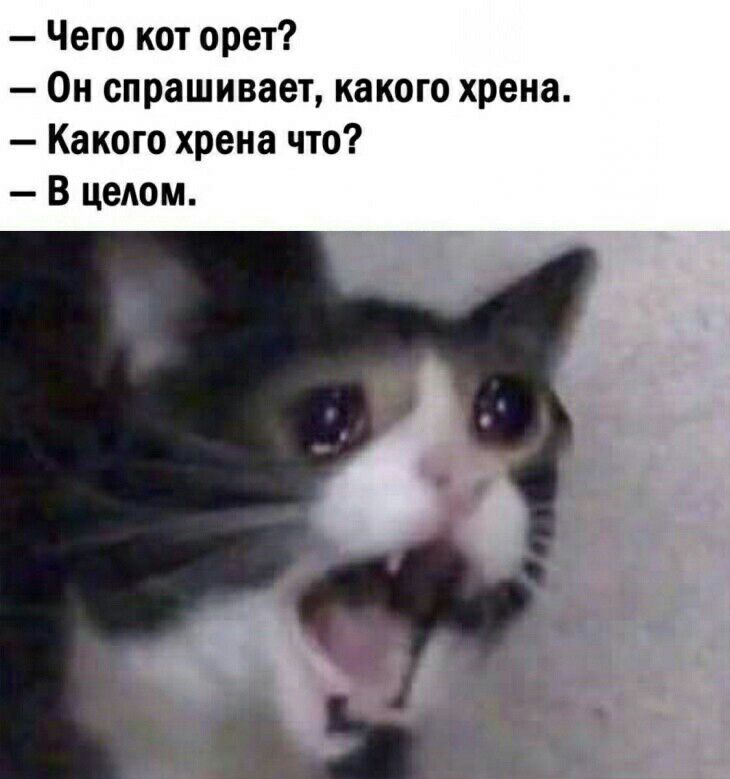 ЧМП Я ПОЙАУ НА ЛИЦУ с АРУБЬЯМИ Х0Р0Ш0 НЕ АЕААИТ Е Г АУПОСТЕЙ НЕ БУДЕМ МОИ ДРУЗЬЯ НОРМАЛЬНЫЕ
