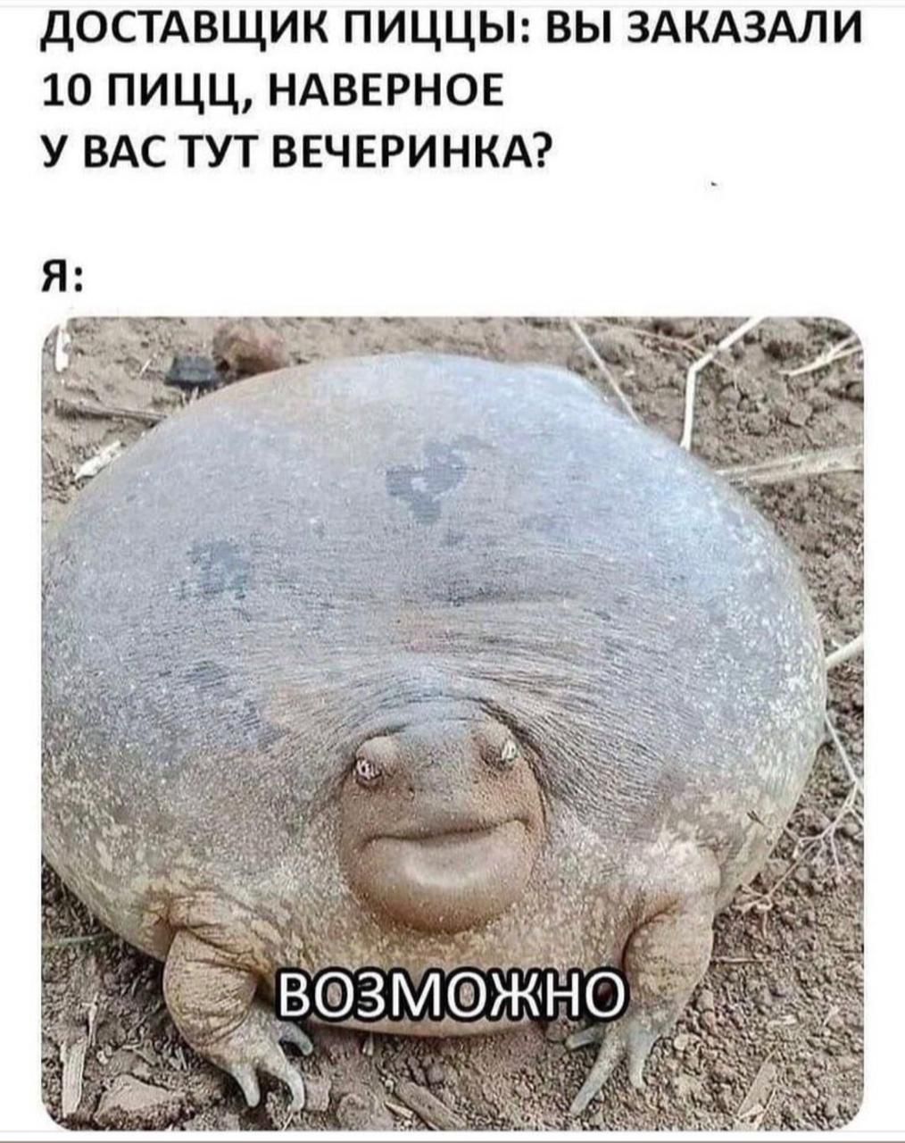 ДОСТАВЩИК ПИЦЦЫ ВЫ ЗАКАЗАЛИ 10 ПИЦЦ НАВЕРНОЕ У ВАС ТУТ ВЕЧЕРИНКА _Ёвбзмож