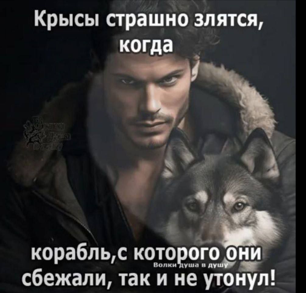 Крысы страшно злятся когда 1 4 р 12 КОРЗбЛ ЬС КОТОРОГО ОНИ сбежали так и не утонул