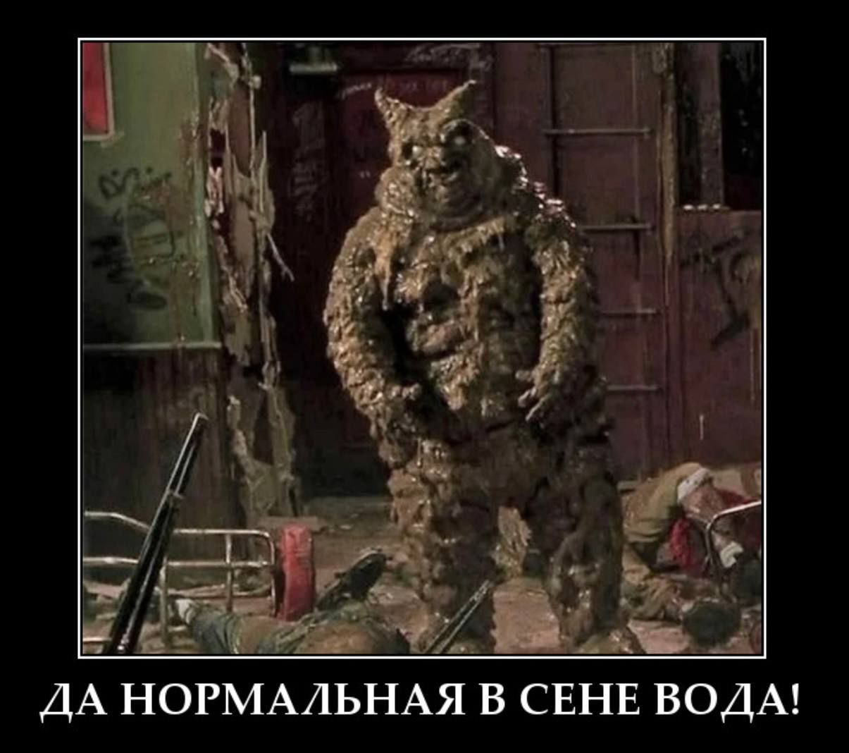 ДА НОРМАЛЬНАЯ В СЕНЕ ВОДА