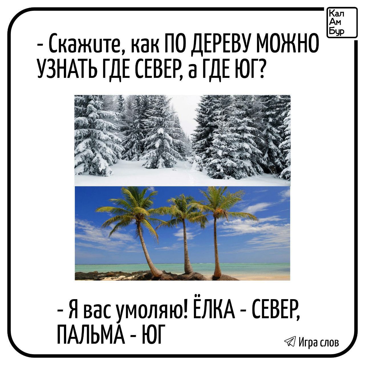 Скажите, как ПО ДЕРЕВУ МОЖНО УЗНАТЬ ГДЕ СЕВЕР, а ГДЕ ЮГ? - Я вас умоляю! ЁЛКА - СЕВЕР, ПАЛЬМА - ЮГ