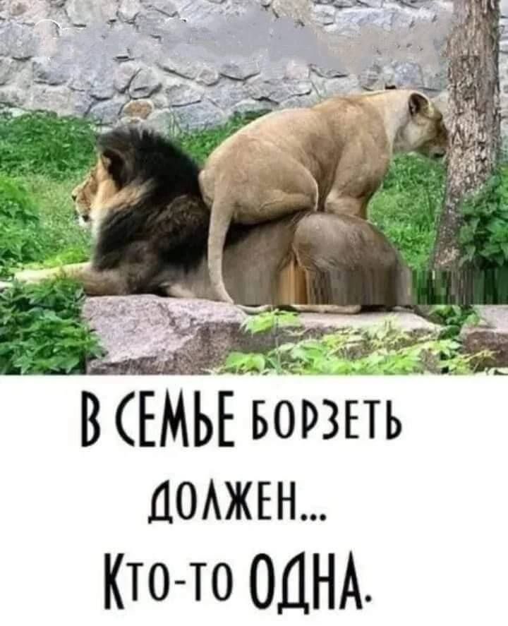 В СЕМЬЕ БОРОТЬСЬ ДОЛЖЕН... КТО-ТО ОДНА.