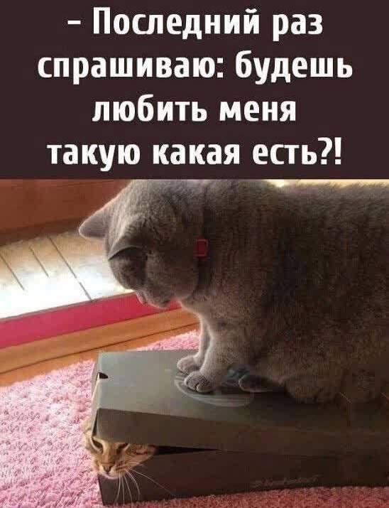 - Последний раз спрашиваю: будешь любить меня такую какая есть?!