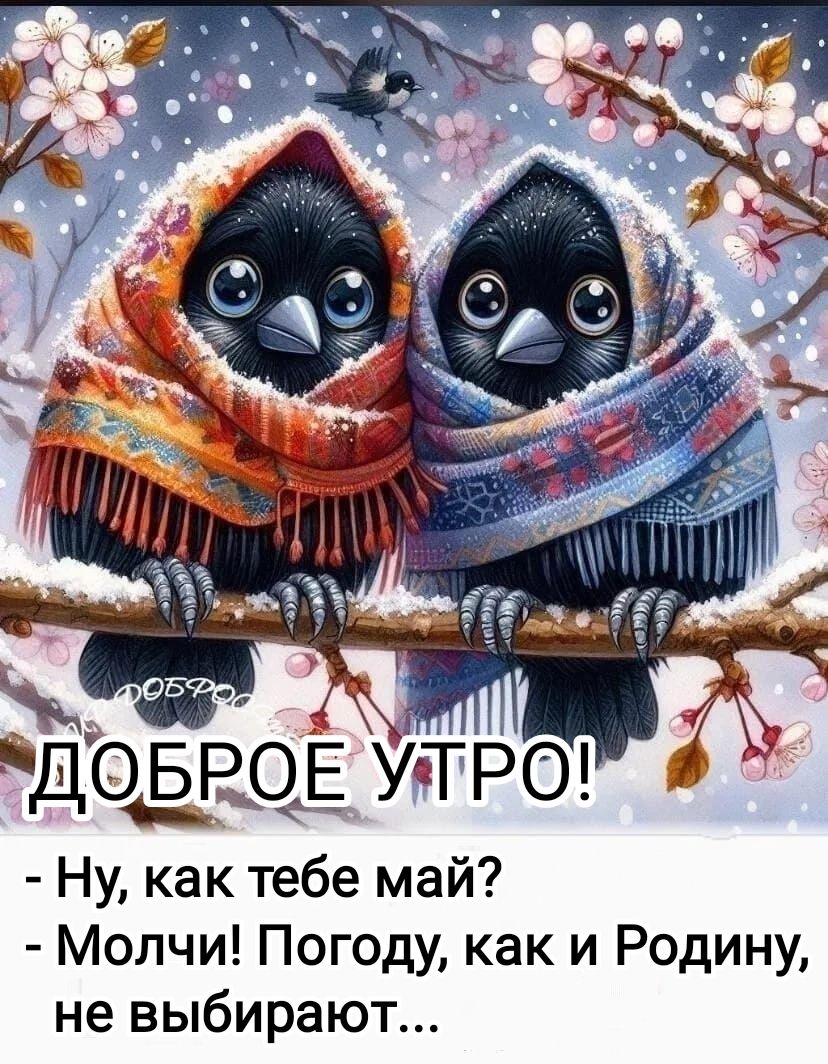 ДОБРОЕ УТРО! - Ну, как тебе май? - Молчи! Погоду, как и Родину, не выбирают...