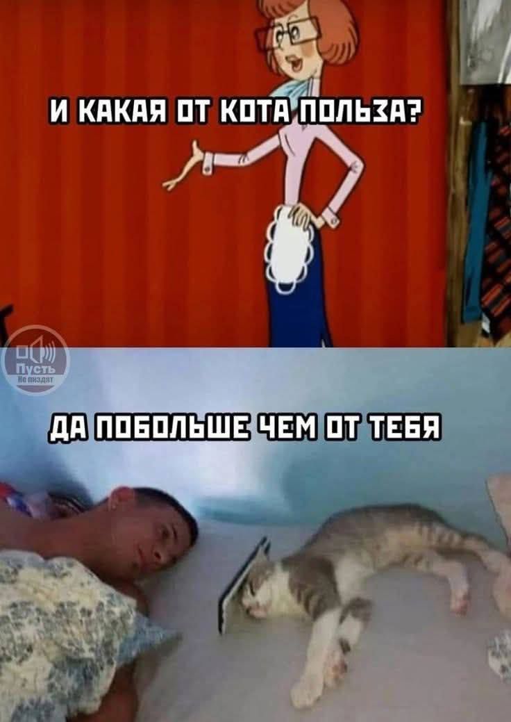 И какая от кота польза?
Да побольше чем от тебя