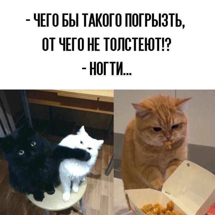 - Чего бы такого погрызть, от чего не толстей?!
- Ноги...