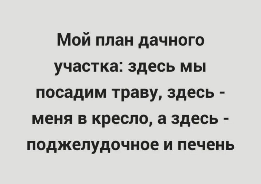 Мой план дачного участка: здесь мы посадим траву, здесь - меня в кресло, а здесь - поджелудочное и печень
