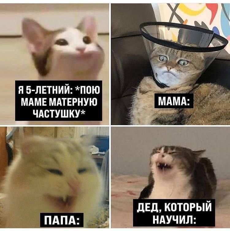 Я 5-летний: *пою маме матерную частушку* 
МАМА: 
ПАПА: 
ДЕД, КОТОРЫЙ НАУЧИЛ: