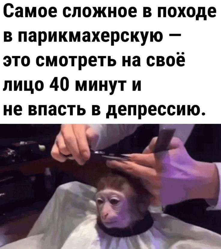 Самое сложное в походе в парикмахерскую — это смотреть на своё лицо 40 минут и не впасть в депрессию.