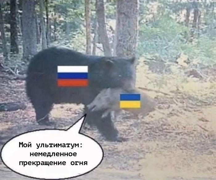 Мой ультиматум: немедленное прекращение огня