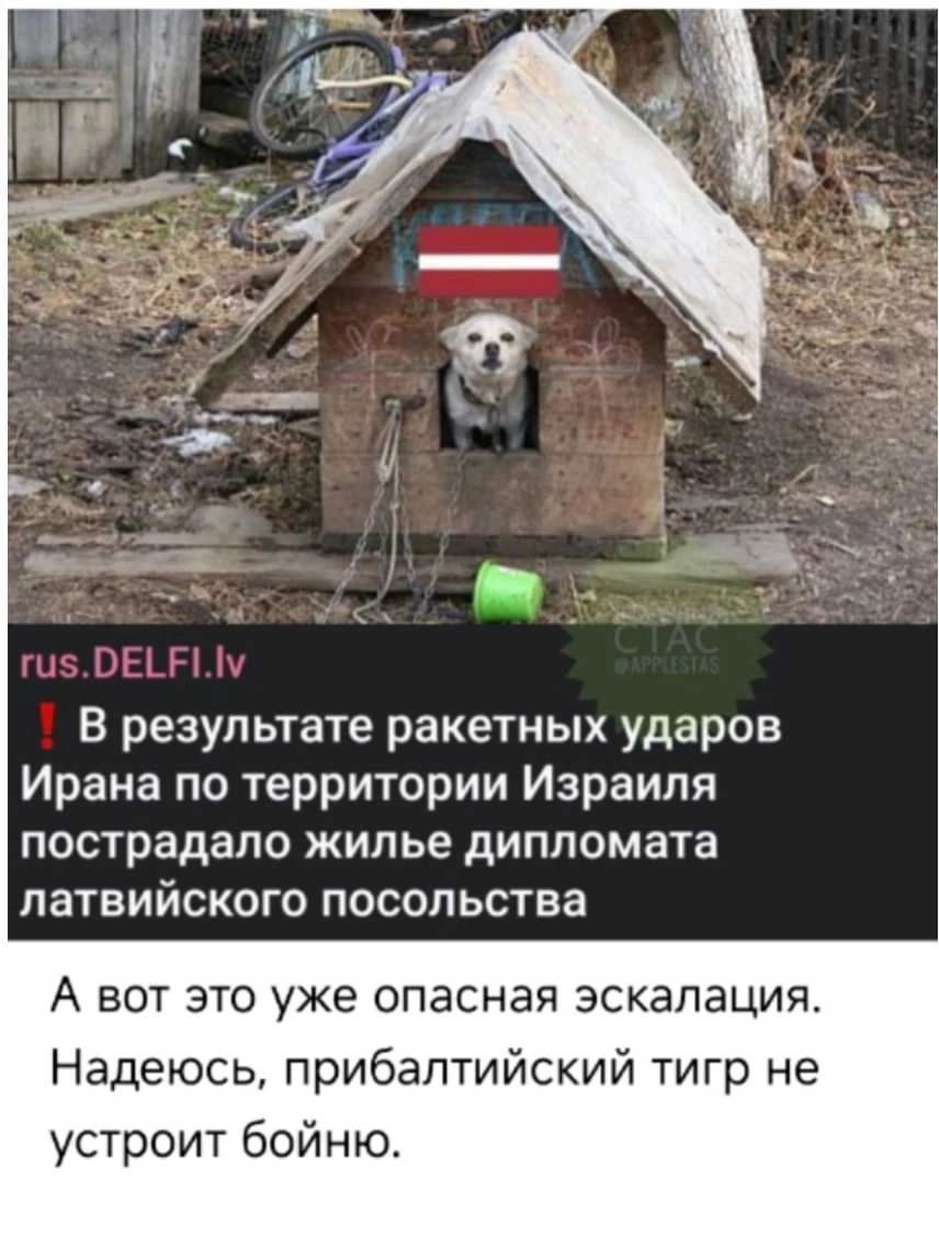 🚨 В результате ракетных ударов Ирана по территории Израиля пострадало жилье дипломата латвийского посольства. А вот это уже опасная эскалация. Надеюсь, прибалтийский тигр не устроит войну.