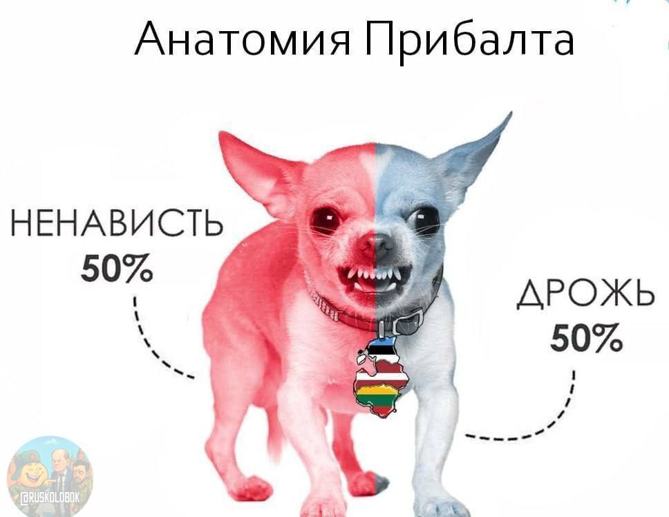 АНАТОМИЯ ПРИБАЛТА НЕНАВИСТЬ 50% ДРОЖЬ 50%
