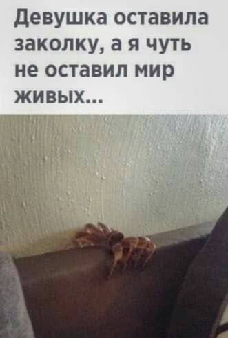 Девушка оставила заколку, а я чуть не оставил мир живых...