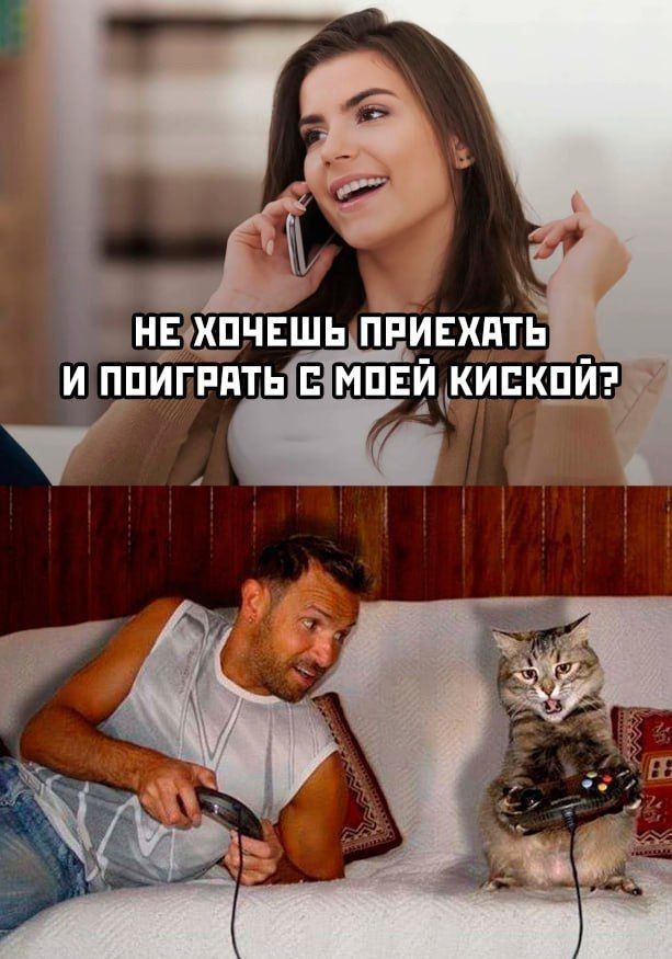 НЕ ХОЧЕШЬ ПРИЕХАТЬ И ПОИГРАТЬ С МОей КИСКОЙ?
