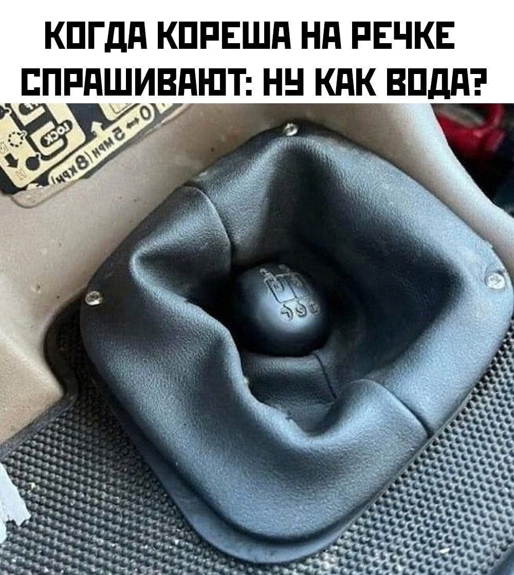 КОГДА КОРЕША НА РЕЧКЕ СПРАШИВАЮТ: НУ КАК ВОДА?