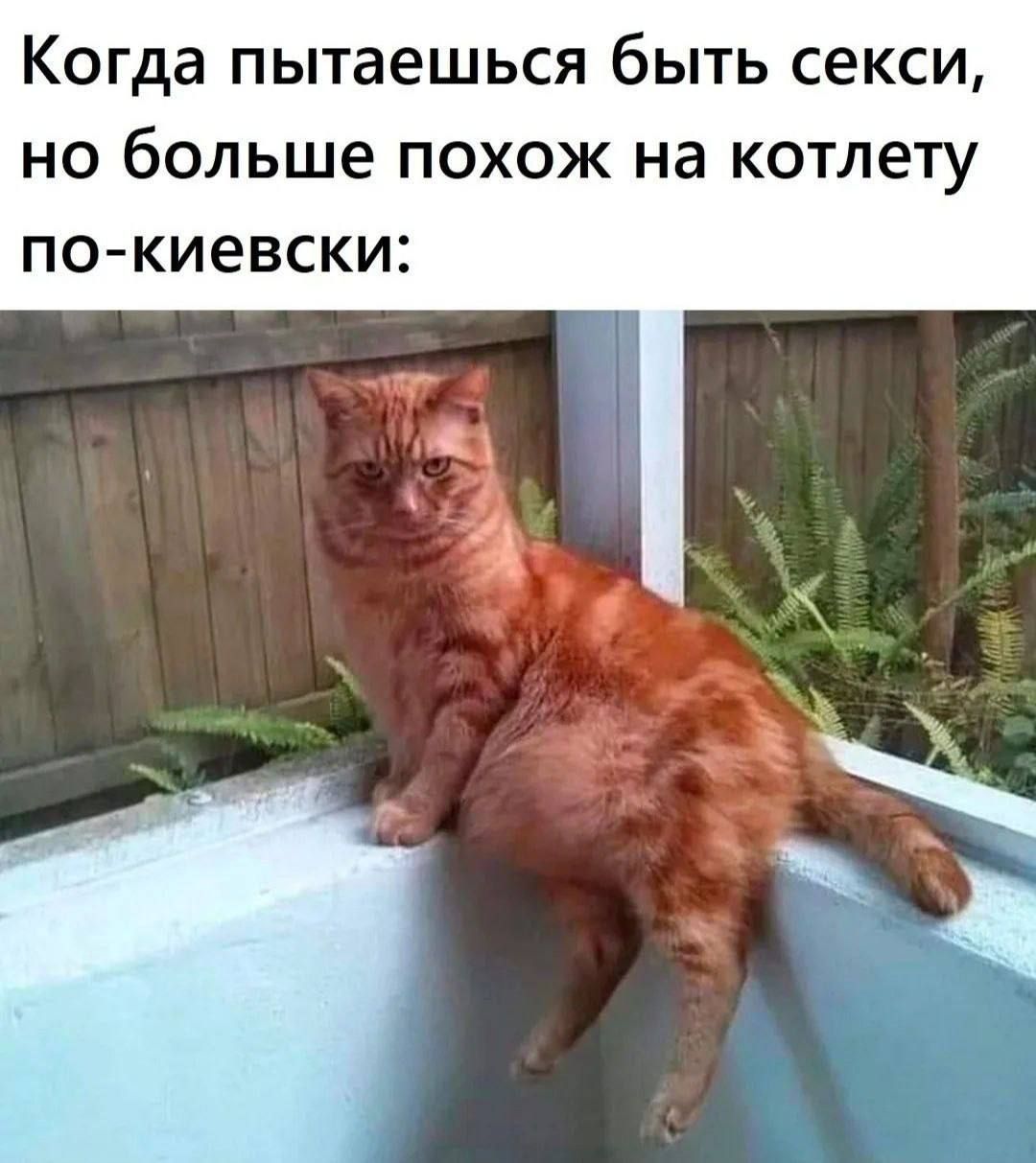 Когда пытаешься быть seksi, но больше похож на котлету по-киевски: