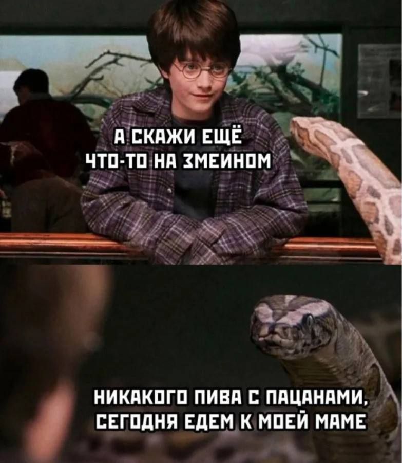 А скажи ещё что-то на змеиным.
Никакого пива с пацанами, сегодня едем к моей маме.