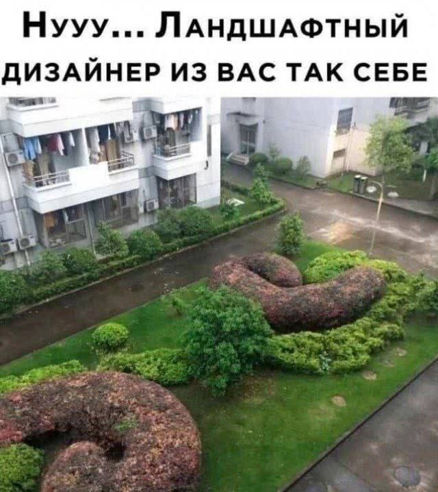Нууу... Ландшафтный дизайнер из вас так себе
