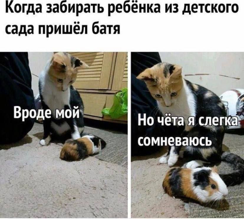 Когда забирать ребёнка из детского сада пришёл батя Вроде мой Но чёта я слегка сомневаюсь