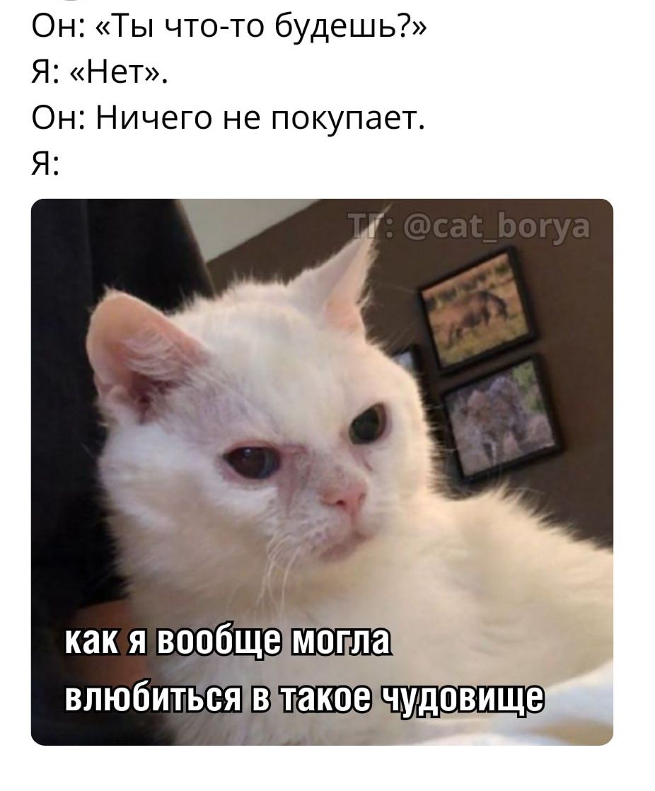 Он: «Ты что-то будешь?» Я: «Нет». Он: Ничего не покупает. Я: как я вообще могла влюбиться в такое чудовище