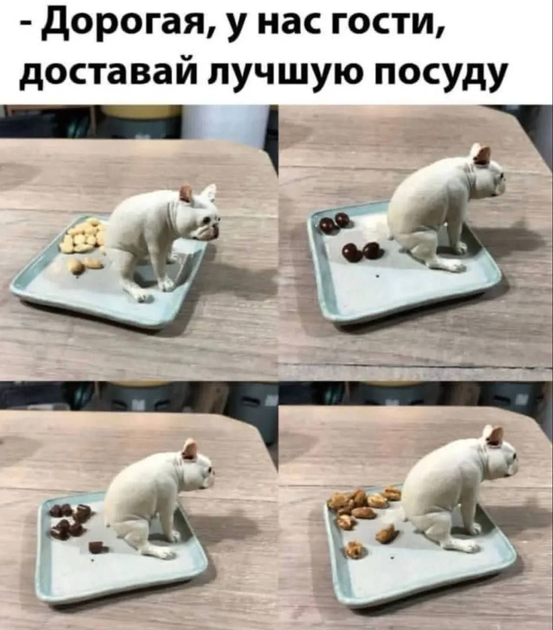 - Дорогая, у нас гости, доставай лучшую посуду