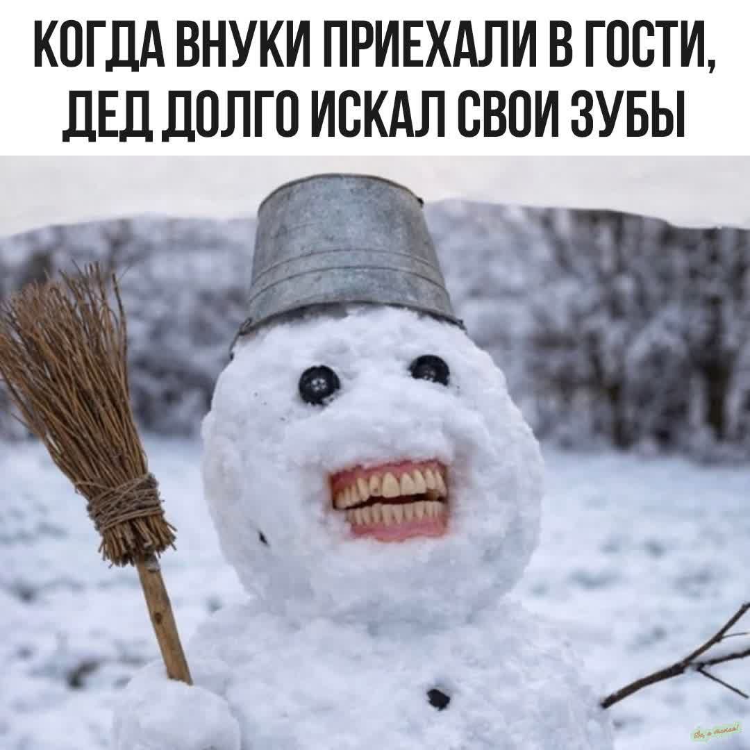 КОГДА ВНУКИ ПРИЕХАЛИ В ГОСТИ, ДЕД ДОЛГО ИСКАЛ СВОИ ЗУБЫ