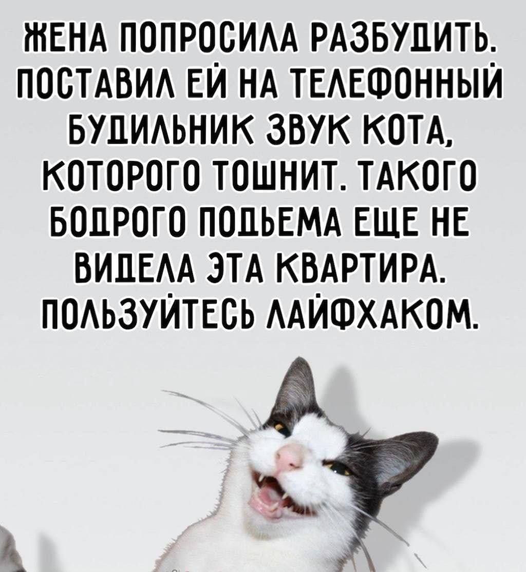 ЖЕНА ПОПРОСИЛА РАЗБУУИТЬ. ПОСТАВИЛ ЕЙ НА ТЕЛЕФОННЫЙ БУДИЛЬНИК ЗВУК КОТА, КОТОРОГО ТОШНИТ. ТАКОГО БОПРОГО ПОВЫМЕА ЕЩЕ НЕ ВИДЕЛА ЭТА КВАРТИРА. ПОЛЬЗУЙТЕСЬ ЛАЙФХАКОМ.