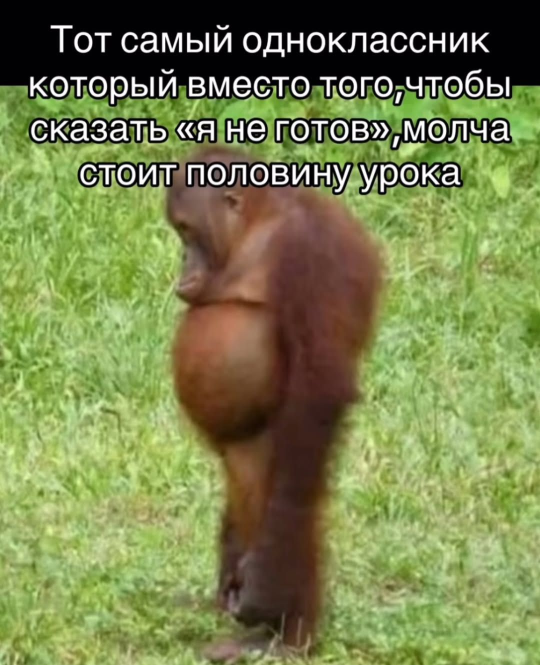 Тот самый одноклассник который вместо того,чтобы сказать «я не готов»,молча стоит половину урока