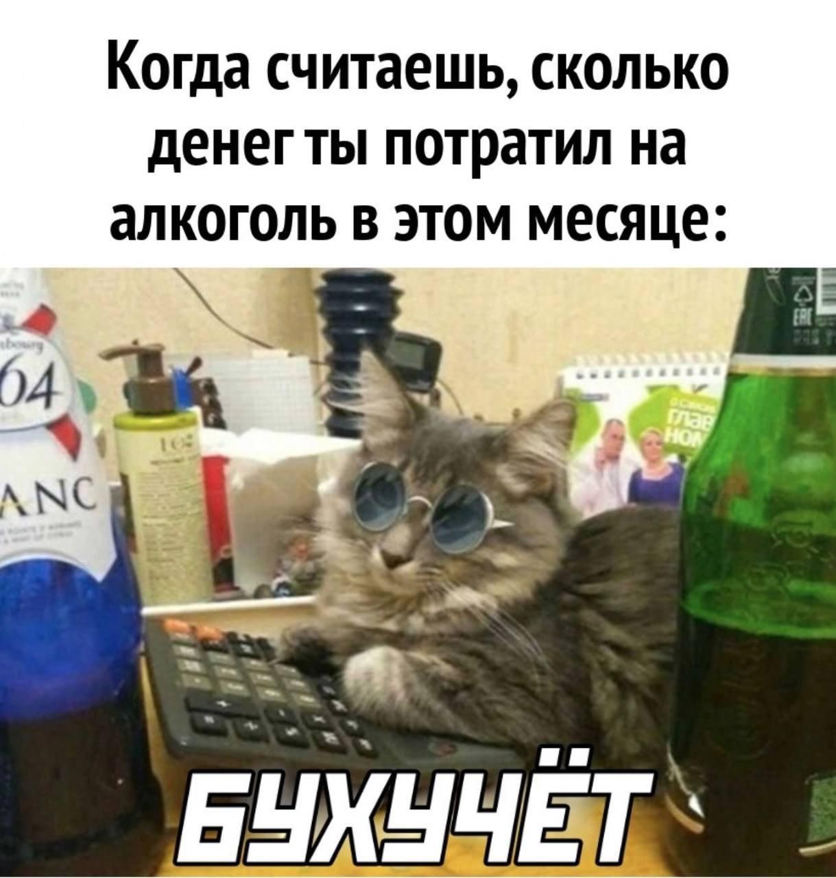 Когда считаешь, сколько денег ты потратил на алкоголь в этом месяце:\nБУХЧЁТ