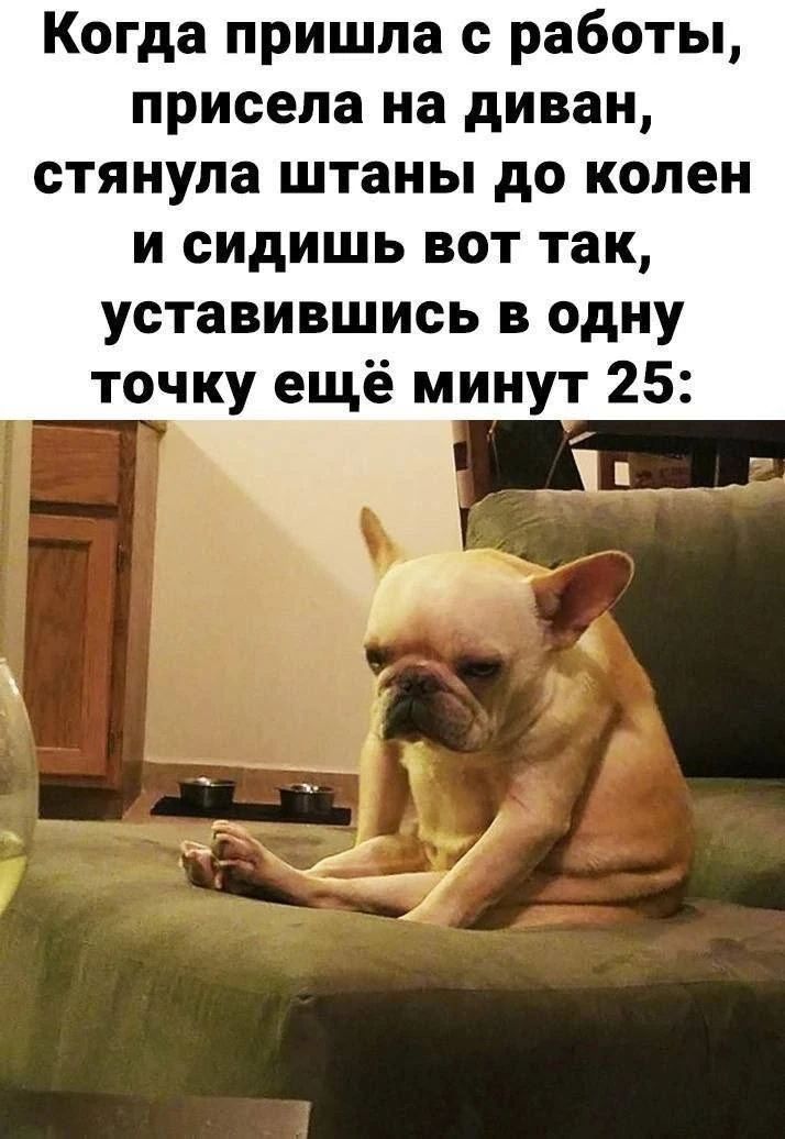 Когда пришла с работы, присела на диван, стянула штаны до колен и сидишь вот так, усталый, в одну точку ещё минут 25: