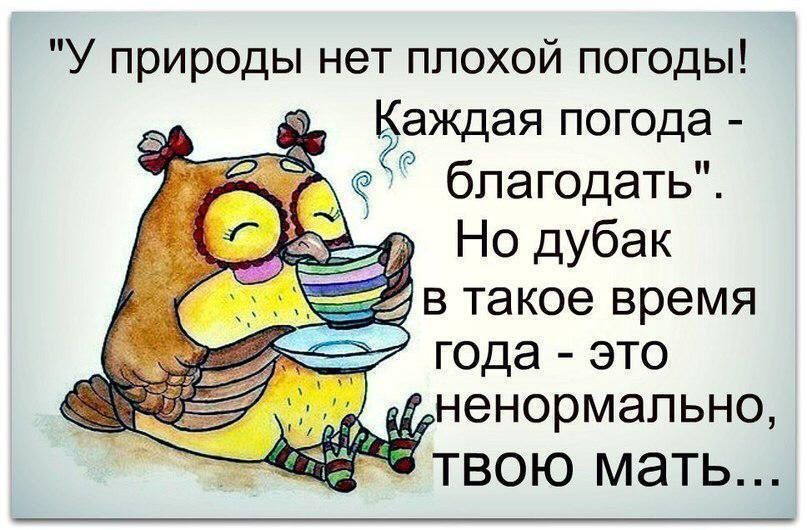 У природы нет плохой погоды аждая погода благодать Но дубак твою мать