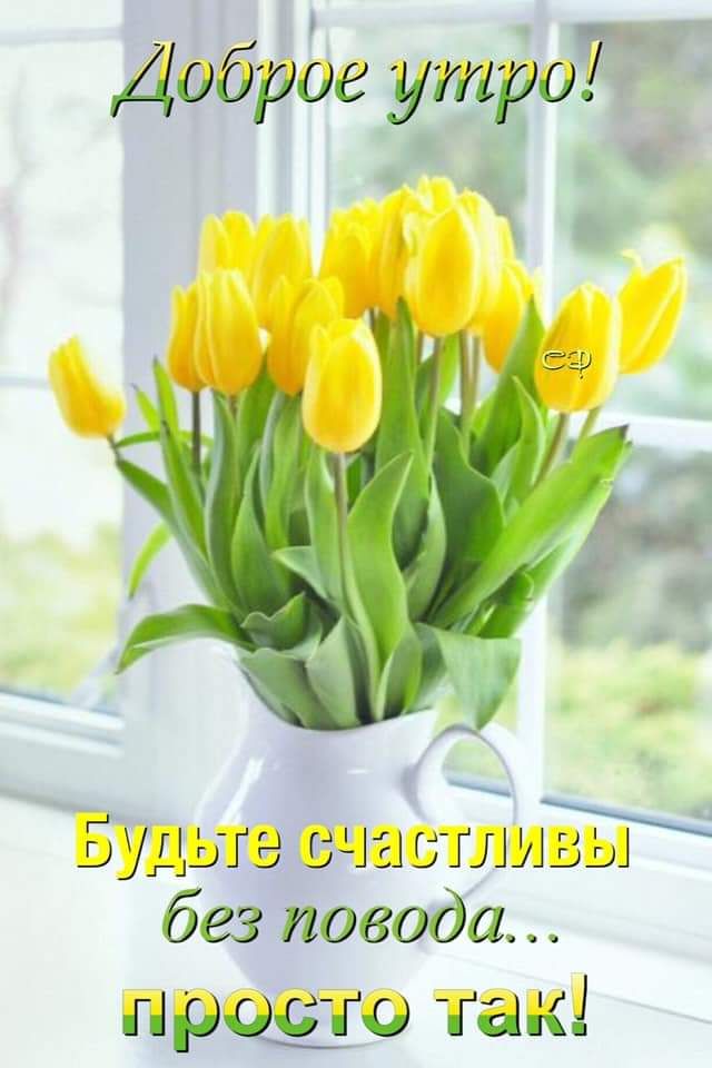 _ В ядро ое утро эт пра ст то так