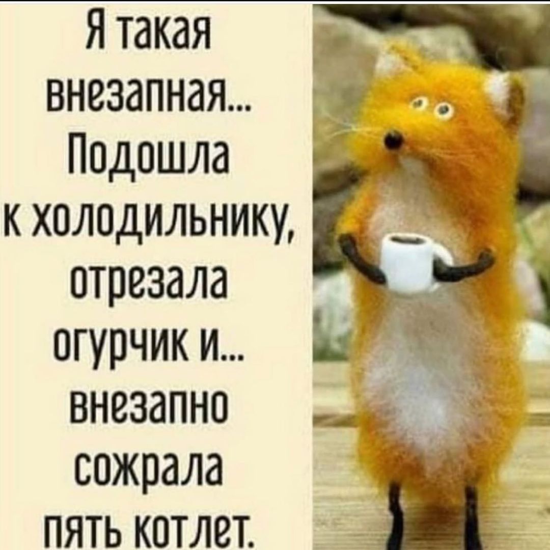 Я такая внезапная Подошла к холодильнику отрезала огурчик и внезапно сожрала пять котлет