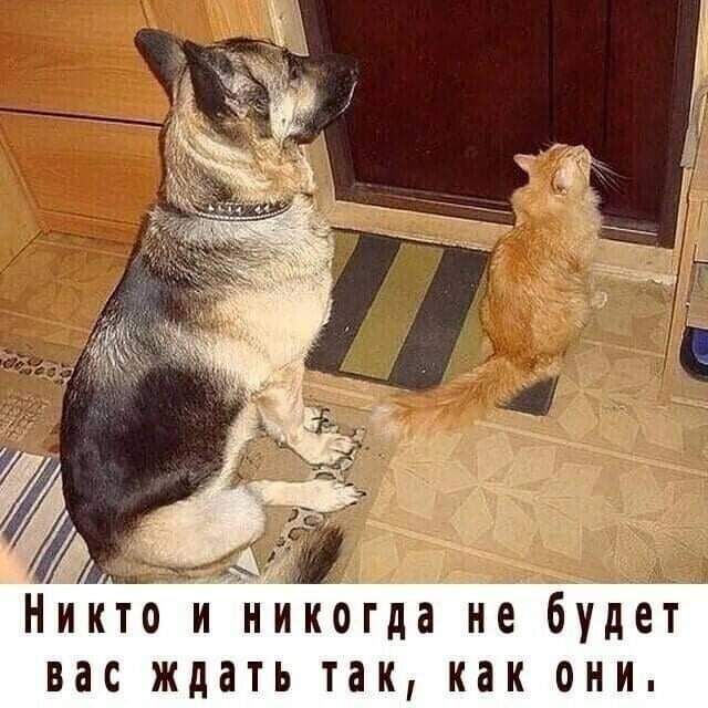 д я Ндкто и Никогда не будет вас ждать так как они