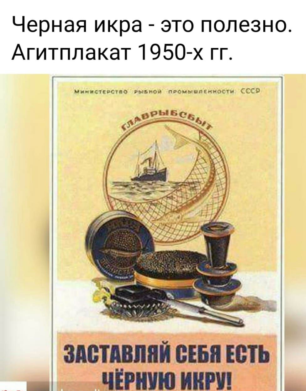 Черная икра это полезно Агитплакат 1950 х гг ЗМПАШШЙ СЕБЕ ПЭП _ _ чинит ШРИ