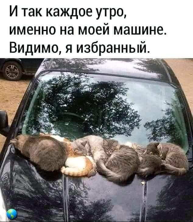 И так каждое утро именно на моей машине Видимо я избранный А