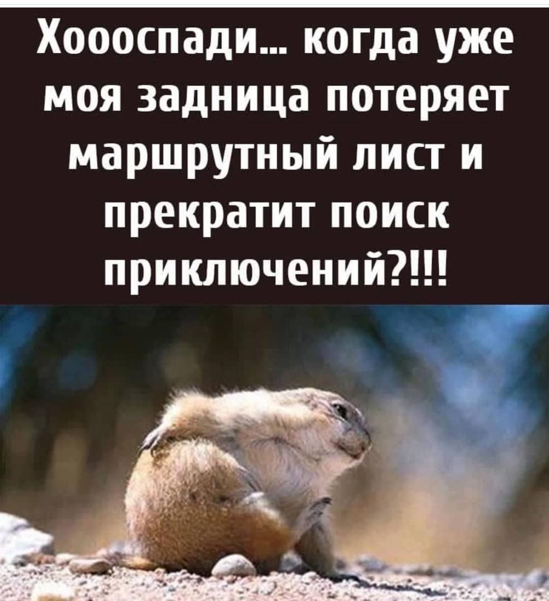 Хоооспади когда уже моя задница потеряет маршрутный лист и прекратит поиск приключений